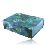 Картонная коробка для хранения эфирных масел (27х20х9см) (COFFRET DE RANGEMENT JUNGLE POUR 30 HUILES ESSENTIELLES)